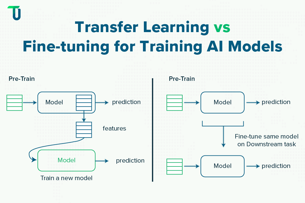 Comparing Transfer Learning & Fine-tuning Transfer Learning vs Fine-tuning