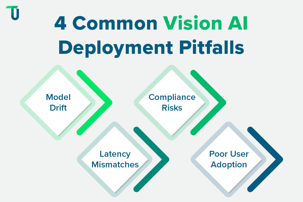 Issues in deploying computer vision systems