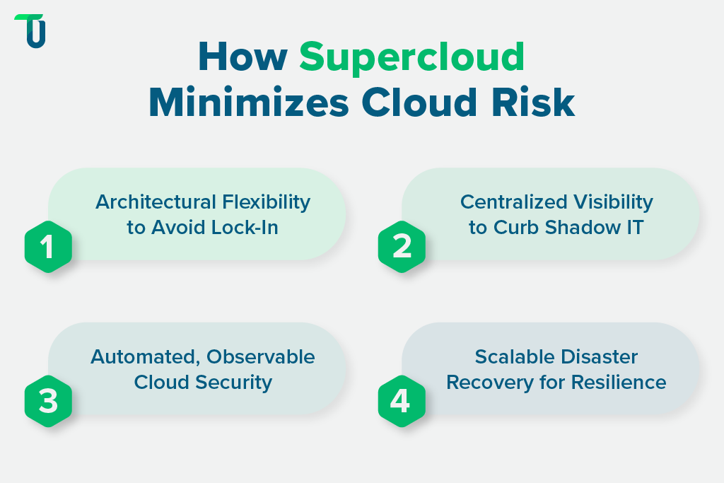 Enterprise-Scale Risk Mitigation with Supercloud