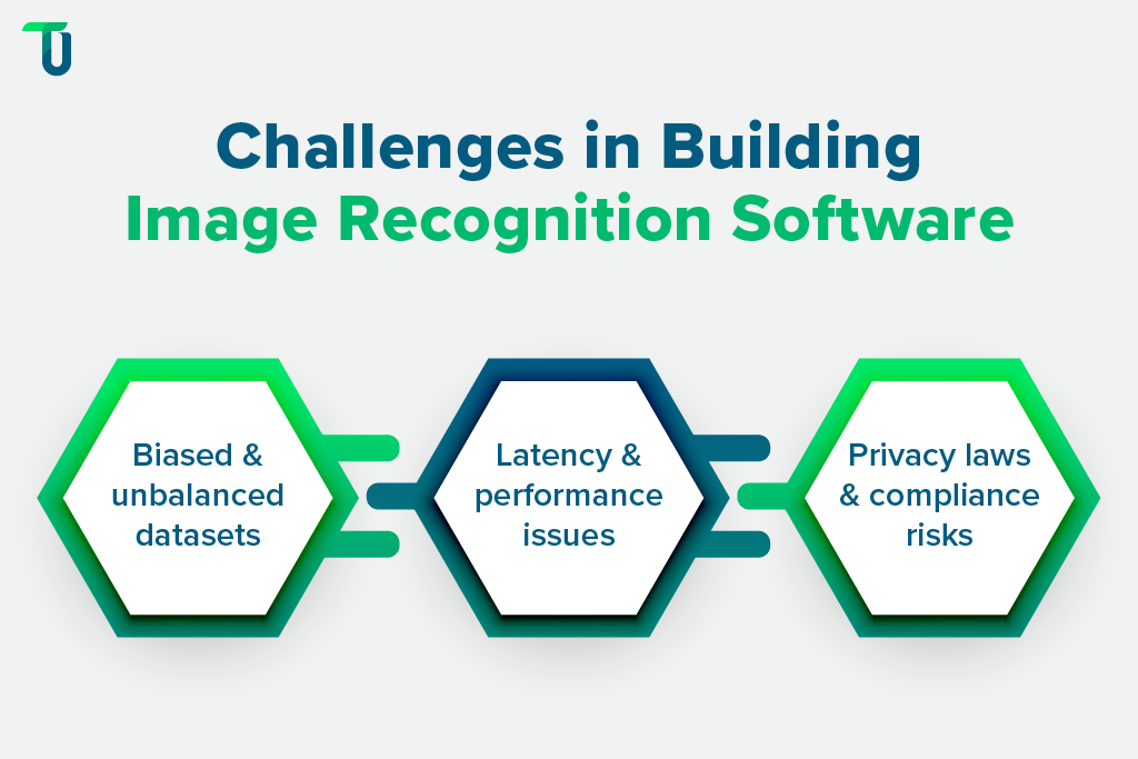 Pitfalls to Avoid in Image Recognition Projects